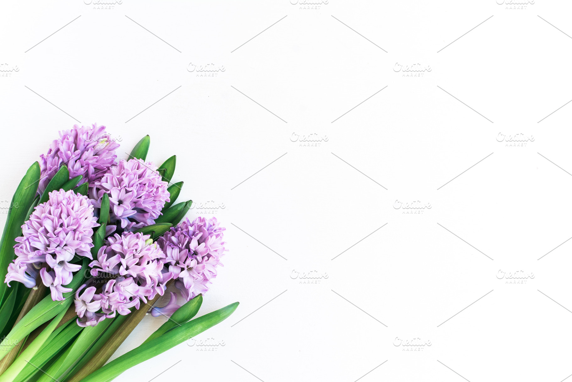Purple hyacinths stock photo featuring purple flowers, flowers, and hyacinths, a Business Photo by CarmenCreativeStudio