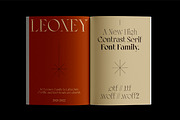 AO Leoney - Display Font Family, a Serif Font by OwunStudio (Thumbnail 2 of 22)