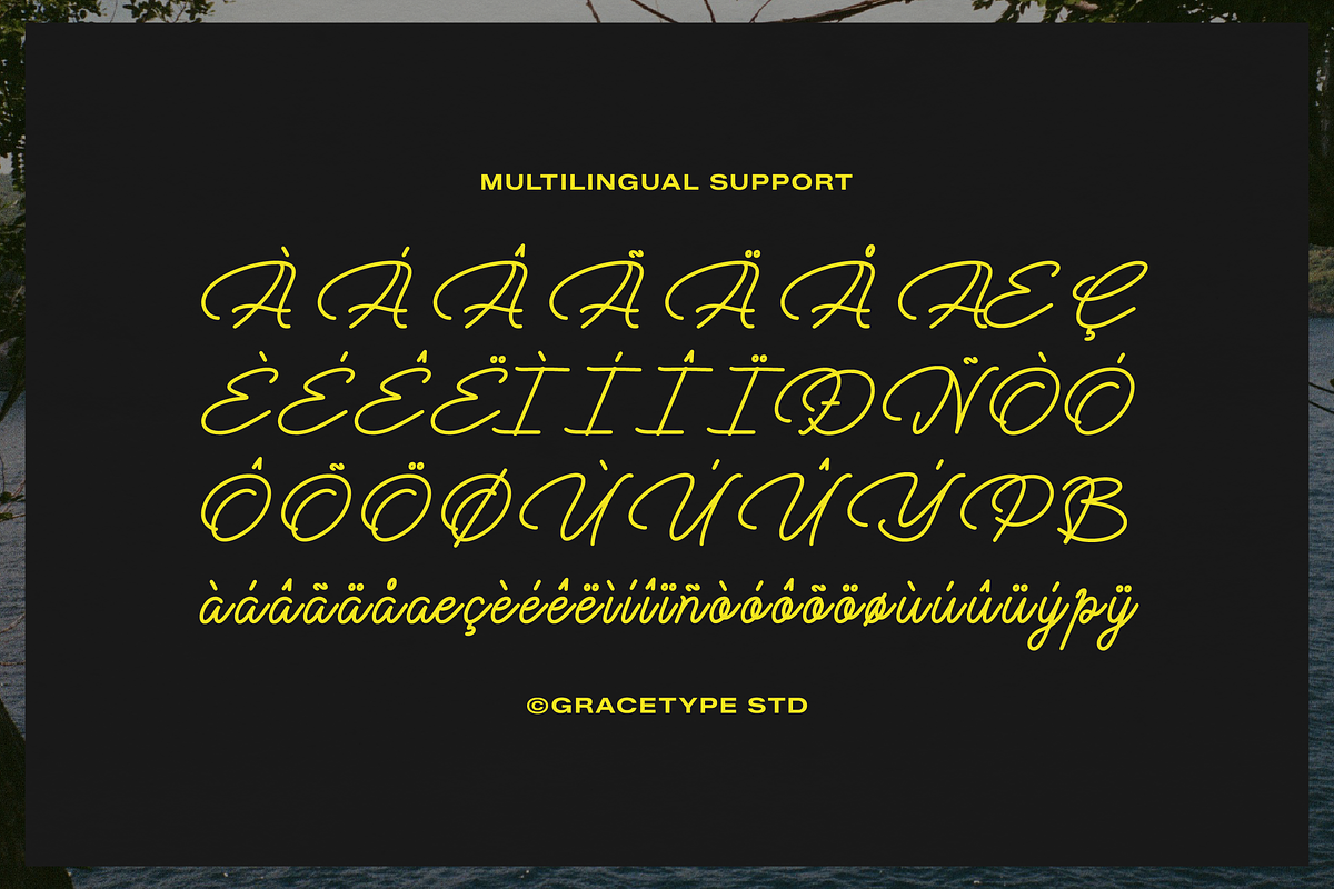 Cauloid | Monoline Script, a Script Font by gracetype_studio (Photo 11 of 12)