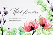 Wild roses. Watercolor flowers., a Decorative Illustration by made by Tanya (Thumbnail 1 of 7)