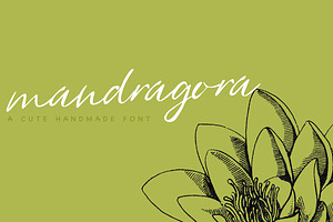 Mandragora, a Script Font by Katie Holland