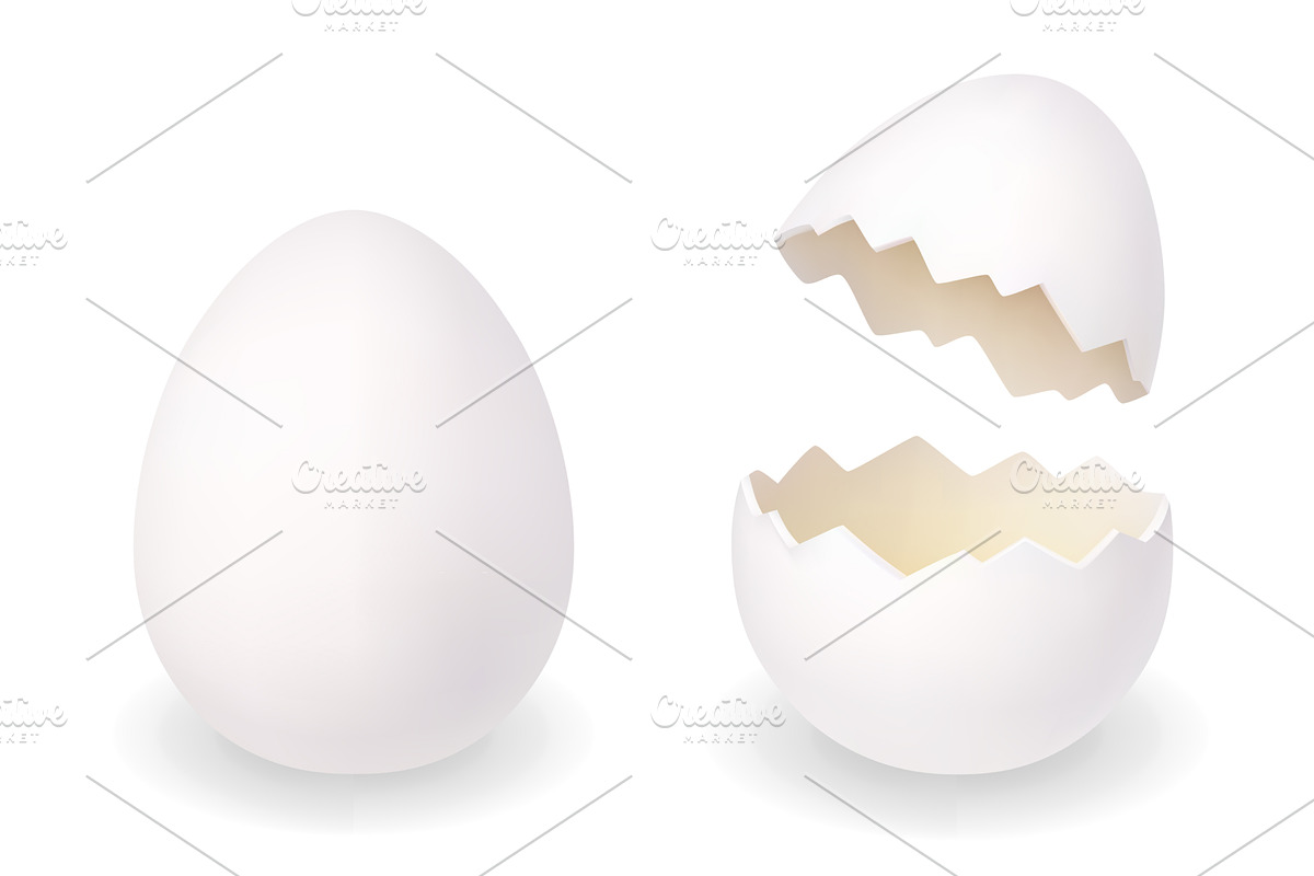 White egg and cracked egg shell, an Object Illustration by GraphiShop