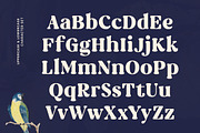Rost Bird - Bold Swashes Retro Serif, a Serif Font by Typia Nesia (Thumbnail 2 of 15)