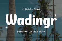 Wadingr | Summer San Serif Display