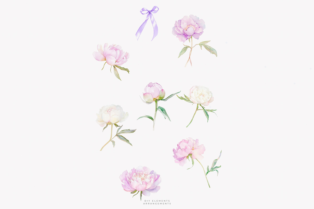 watercolor coquette pink peony set, a Decorative Illustration by Patishop Art (Photo 8 of 10)