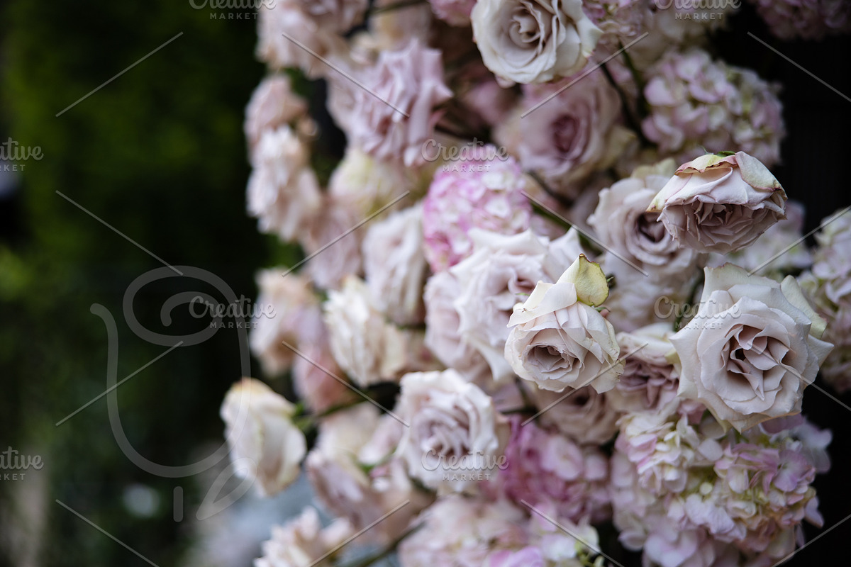 A Garden of Roses | Wedding, Events, a Nature Photo by Farewell (Photo 11 of 41)