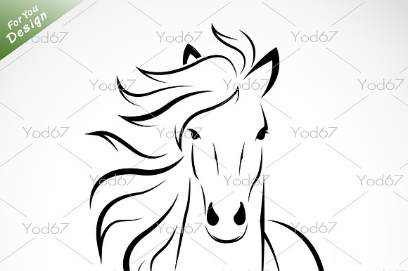 Horse Head On White Background.