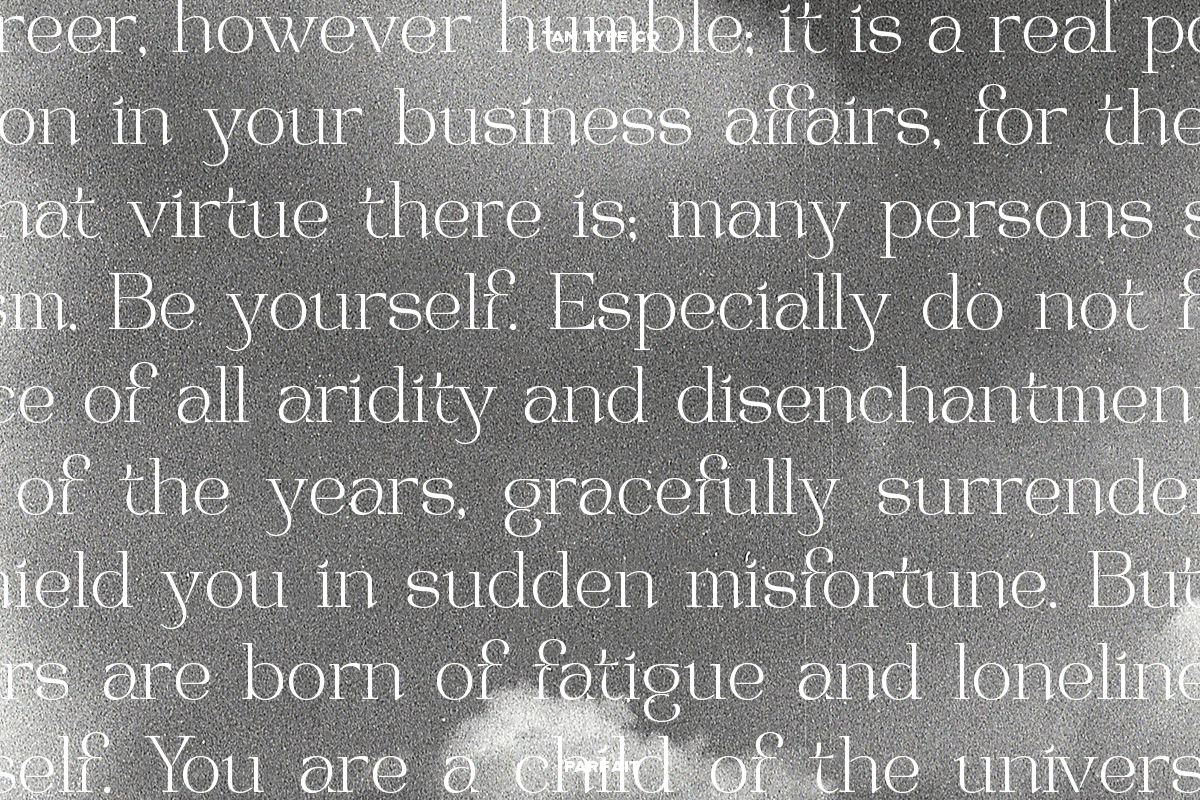 TAN - PARFAIT, a Serif Font by TanType (Photo 20 of 21)