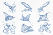 Vintage Marine Life Illustration Set, an Animal Illustration by NatalieArtShop (Thumbnail 6 of 20)