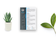 Resume Template / EPS,AI, a Resume Template by Annudesign (Thumbnail 5 of 7)