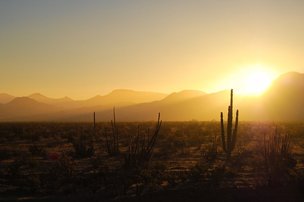 Sunrise Over the Desert