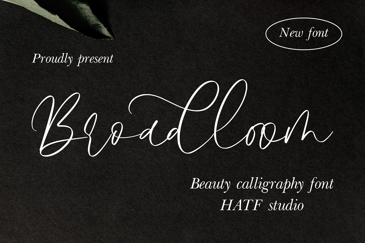 Broadloom, a Handwritten Font by HATFSTUDIO (Photo 1 of 8)