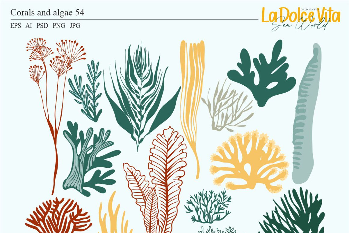 La Dolce Vita-Sea world, an Animal Illustration by Collection by VY (Photo 8 of 15)