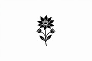 Black Floral Silhouette Set, an Illustration by balal (Thumbnail 9 of 21)