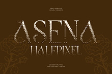 CS Asena Halfpixel