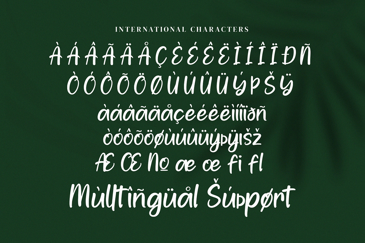 Wastelly Oteeqa, a Handwritten Font by Goresan Studio (Photo 11 of 15)
