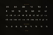 Blittgin Elegant Serif Font, a Serif Font by Perfectype (Thumbnail 8 of 8)