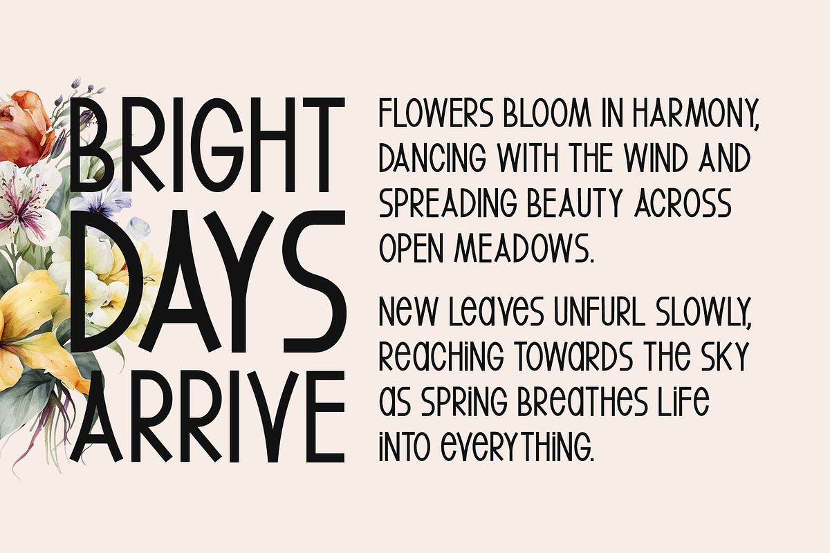 Spring Echoes Typeface, a Sans Serif Font by Seemly Fonts (Photo 4 of 6)