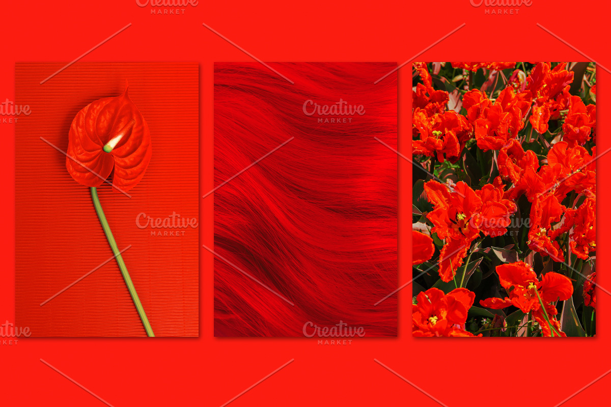 Minimalist red bundle 54, a Beauty & Fashion Photo by Jenya Porechenskaya (Photo 7 of 7)