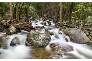 Bridalveil creek in yosemite valley stock photo containing forest and, a Nature Photo by Leonid Andronov