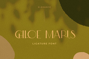 Modern Ligature Sans Serif Font