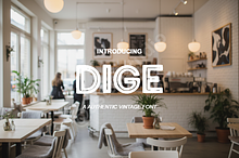 Dige Typeface: Luxury Modern Serif F