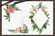 Tropical Big Pack Watercolor Clip, a Decorative Illustration by DioFlow (Thumbnail 20 of 26)