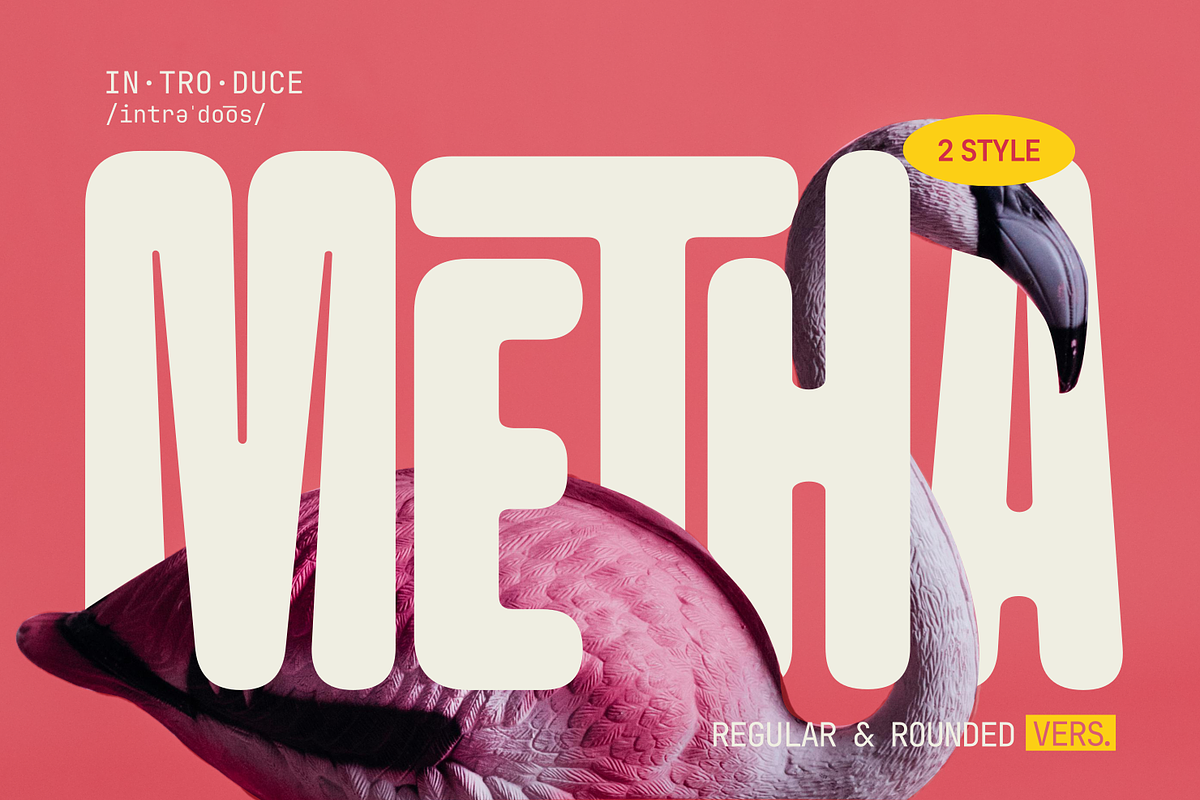 Metha, a Sans Serif Font by zeenesia (Photo 1 of 15)