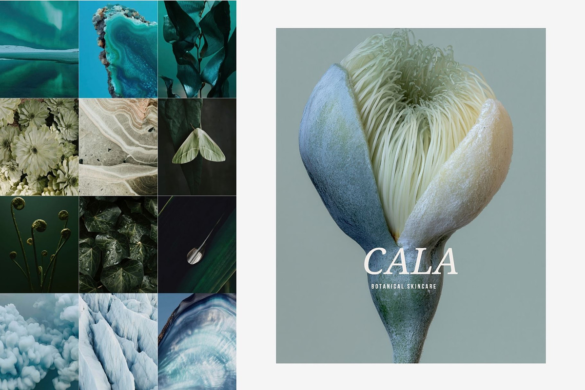 Cool nature | 325 stock photos, a Background Photo by Tale.Haus (Photo 9 of 19)