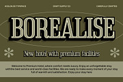 Acelon 3D, a Serif Font by Craft Supply Co. (Thumbnail 4 of 7)