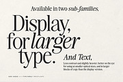 The Very Vogue Serif Family, a Serif Font by Nicky Laatz (Thumbnail 5 of 37)