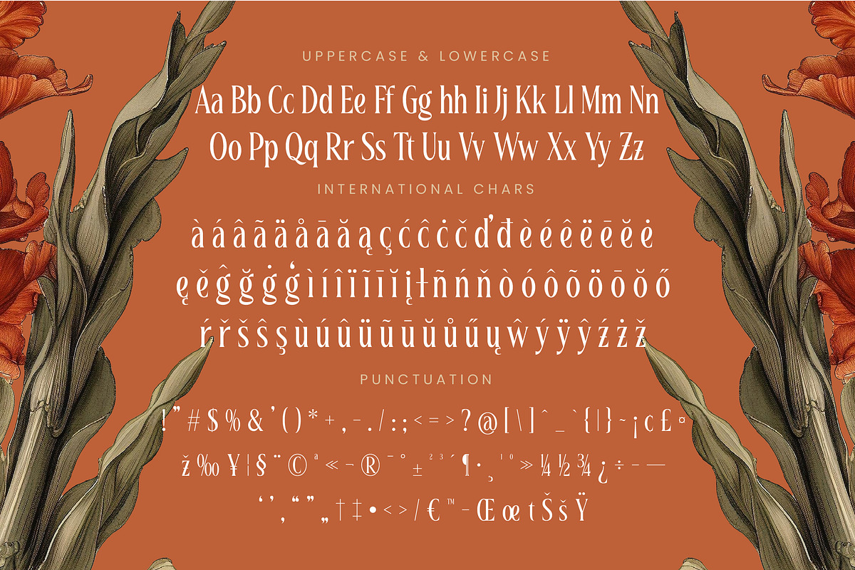 Magiora Tall Modern Serif Font, a Serif Font by timelesstype.co (Photo 19 of 20)