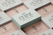 Elio & Oliver - An 18-Font Typeface, a Sans Serif Font by SilverStag Type Foundry (Thumbnail 20 of 20)