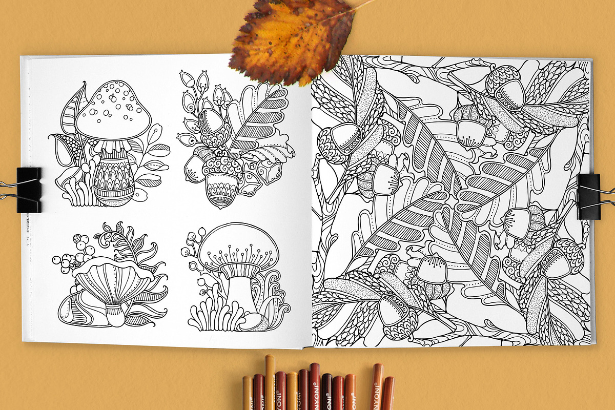 Magic Autumn Forest coloring pages, an Illustration by Color and Decor (Photo 3 of 6)