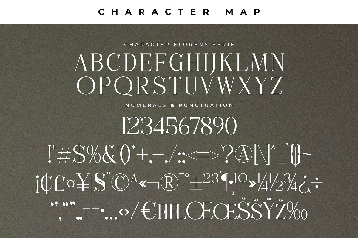 Florens Font Duo, a Serif Font by Storytype Studio (Photo 11 of 15)
