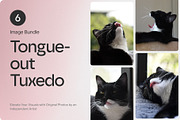6 Image Bundle: Tongue-out Tuxedo, an Animal Photo by Happiestscone Photography (Thumbnail 1 of 2)