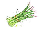 Selection of green foods, watercolor, a Food Illustration by Kamenuka (Thumbnail 2 of 4)