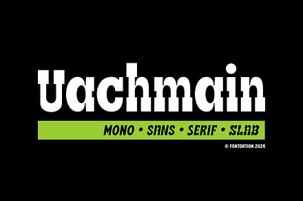 Uachmain | 4 in 1 Fonts, a Slab Serif Font by Twicolabs Fontdation