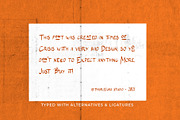 The Wolfflin // Handwritten Font, a Script Font by Letterature Std. (Thumbnail 8 of 11)
