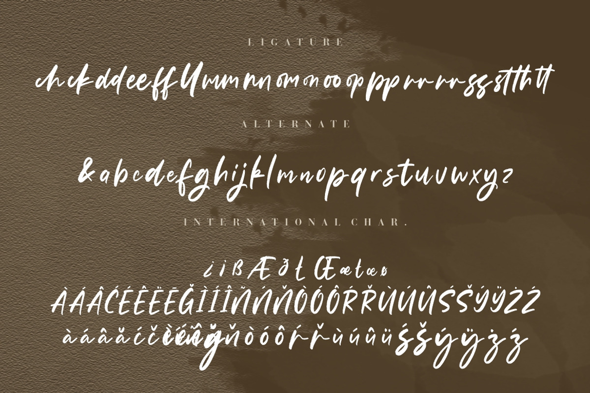 Samanthy Stylish Brush Script, a Script Font by Creatype Studio (Photo 8 of 9)