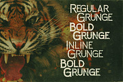 Zalora Typeface, a Font by Cruzine (Thumbnail 2 of 5)