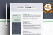 Resume/CV Bundle | 200+ for $29, a Resume Template by ResumeInventor (Thumbnail 65 of 207)