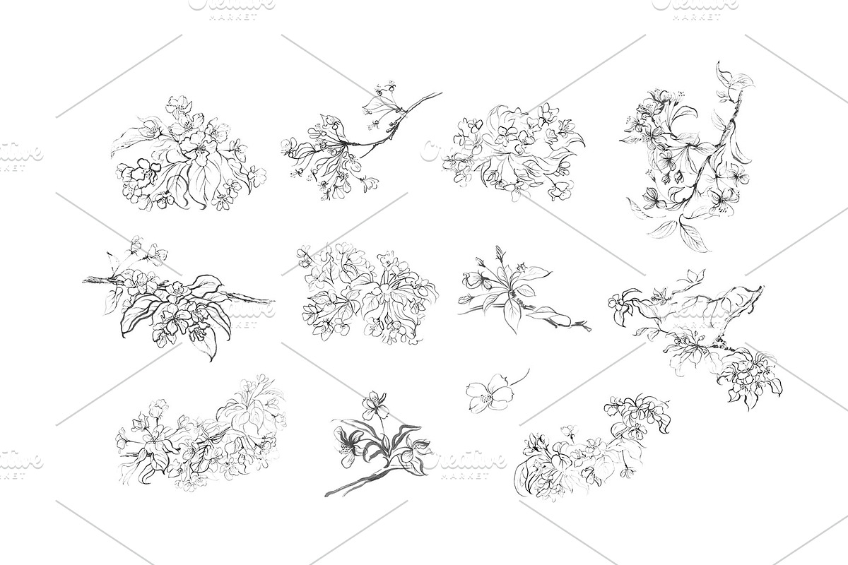 Ink Apple Blossom, an Illustration by Note And Silence (Photo 2 of 5)