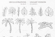 Into the Wild Collection, an Animal Illustration by GVGraphics (Thumbnail 7 of 24)