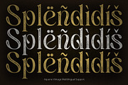 Aquene Vintage, a Serif Font by Craft Supply Co. (Thumbnail 7 of 8)