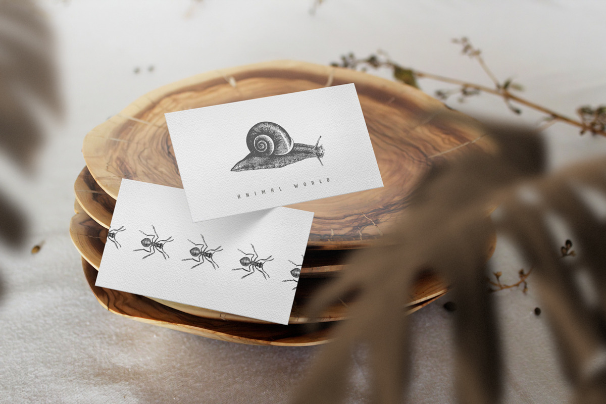Vintage Animals Bundle 300+, an Animal Illustration by Retro Machine (Photo 4 of 21)
