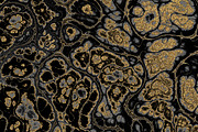 25 textures 64 megapixels, a Texture Graphic by tkdesign (Thumbnail 25 of 26)