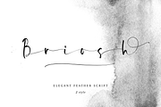 Briosh, a Script Font by Larin Type Co. (Thumbnail 1 of 12)