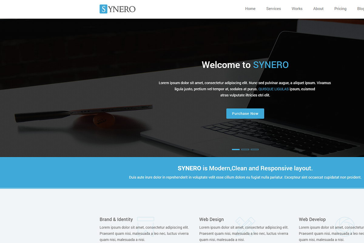 Synero - One page Multipurpose Theme, a HTML Template by Pichforest Studio (Photo 2 of 2)