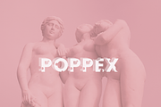 Poppex - Playful Serif Font, a Serif Font by CapeTypeFonts (Thumbnail 1 of 6)